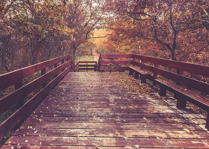 Sunsea Apartamento *